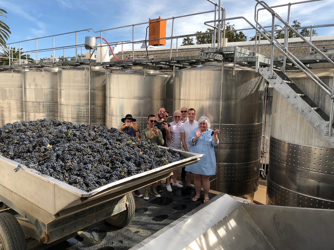 WineFairy-开普敦中心区必去景点