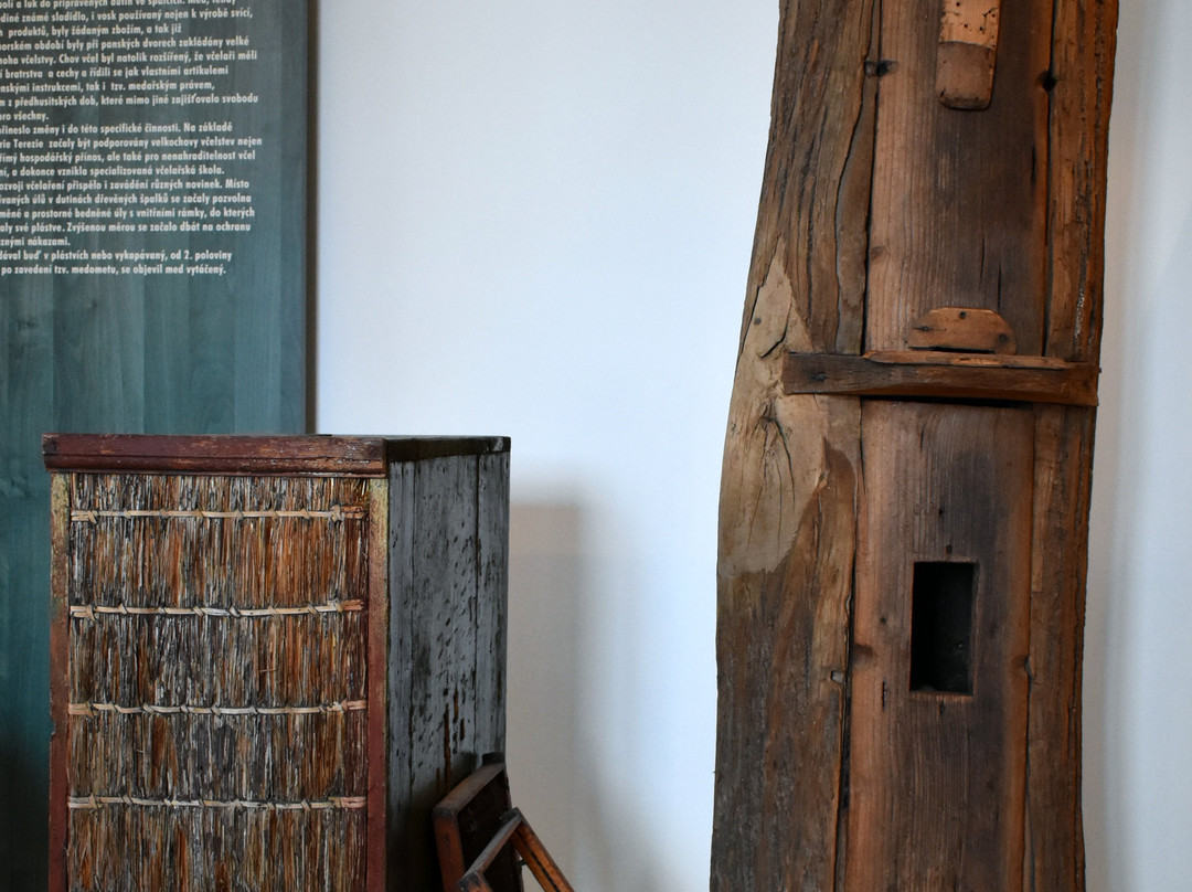 Muzeum Mladoboleslavska景点图片