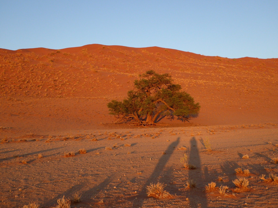 Elim Dunes-Namib-Naukluft Park必去景点