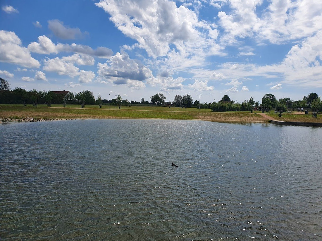 Råbysjön och Råby Sjöpark景点图片