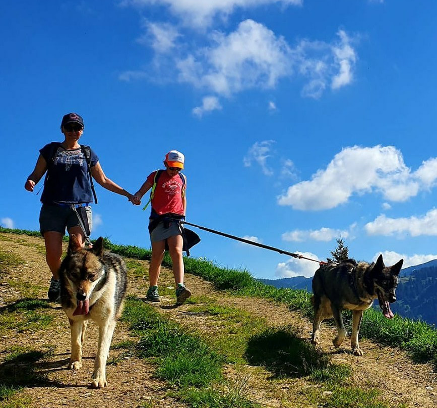 3D NORDIC, chiens de traîneau-Praz Sur Arly必去景点