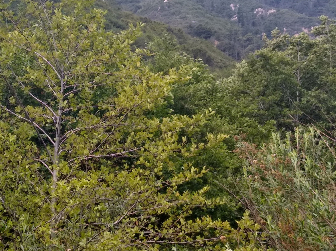 Lytle Creek Middle Fork Trail-Lytle Creek必去景点