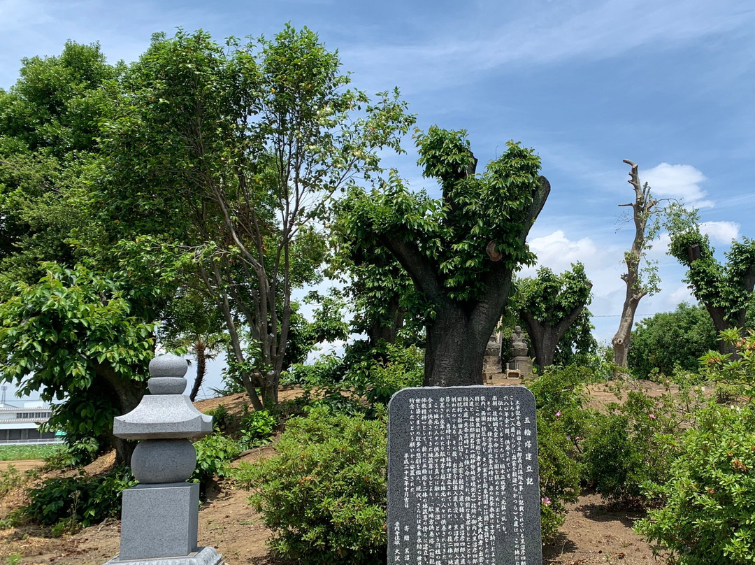 Serada Toshogu Shrine-太田市必去景点