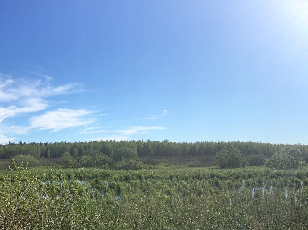 Ilmatsalu-Karevere Hiking Trail景点图片