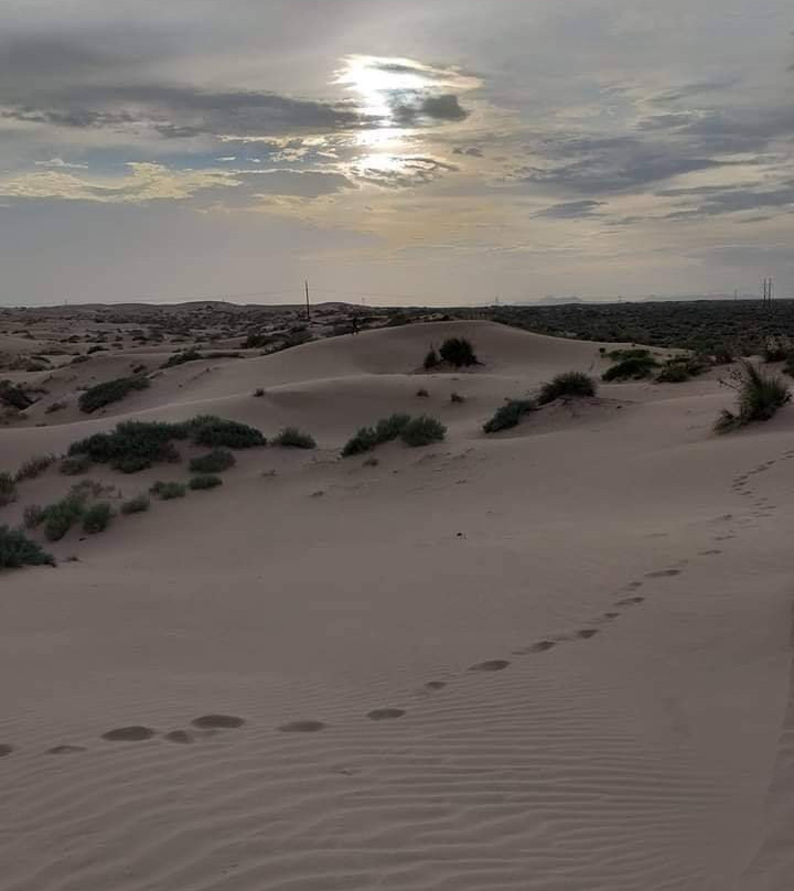 Samalayuca Dune Fields-华瑞兹城必去景点