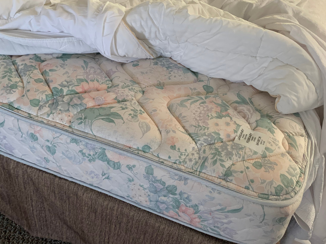 Vintage Villas Hotel主图