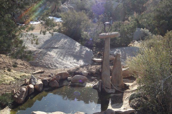 Boulder Gardens Sanctuary