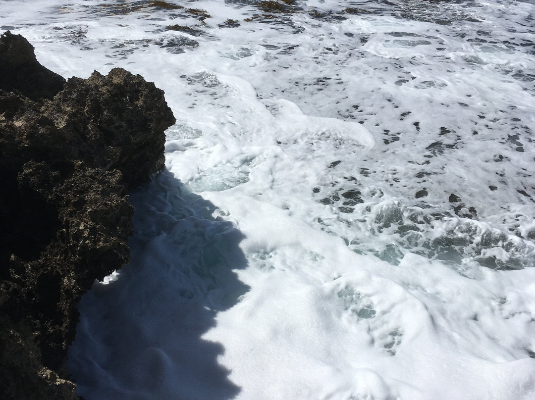 玛卡哈海滨公园-怀厄奈必去景点