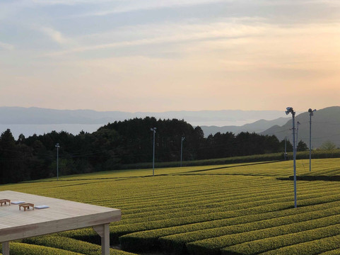 ANA X Inc-Nihonbashi必去景点