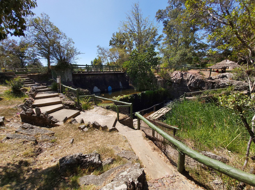 Parque Municipal La Cascada-Piriapolis必去景点