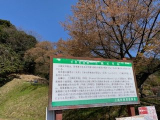 Misumi Obira Zakura-滨田市必去景点