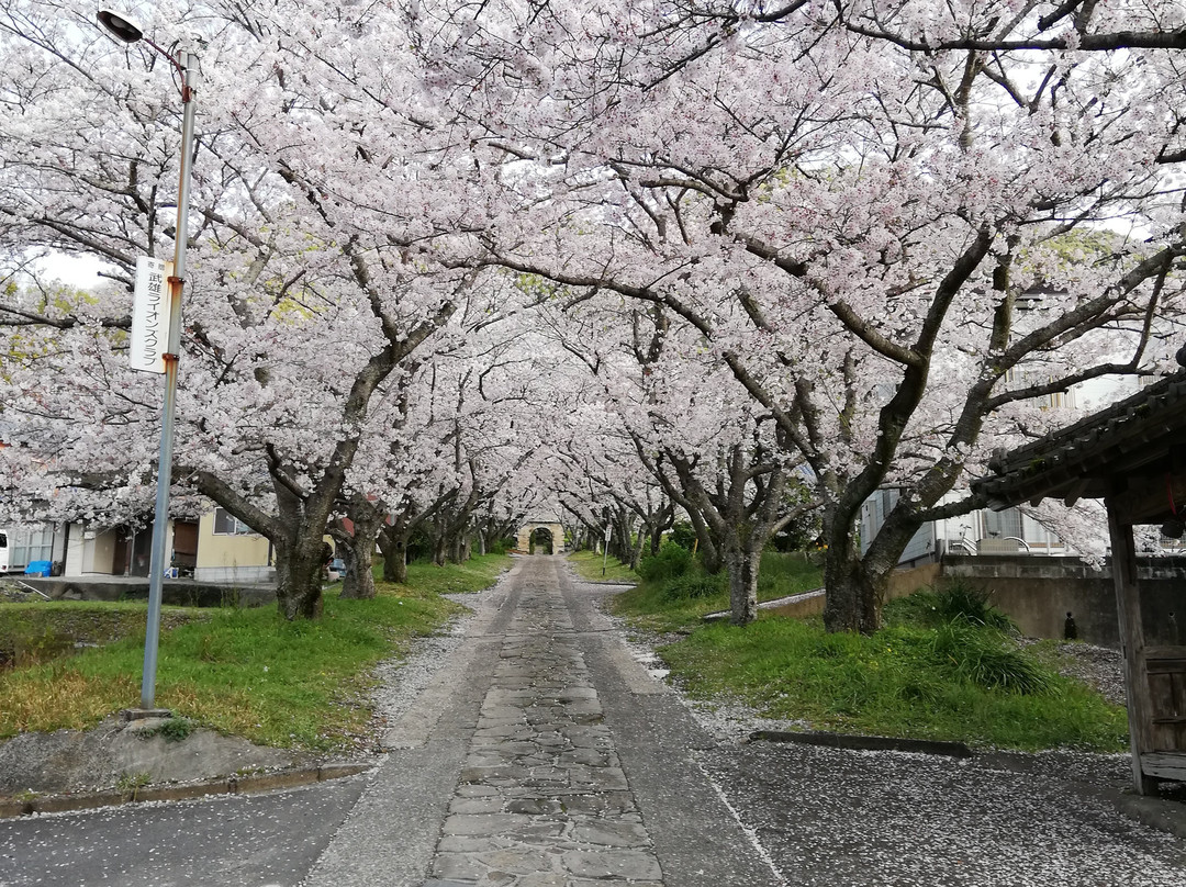 Enjoji Temple-武雄市必去景点