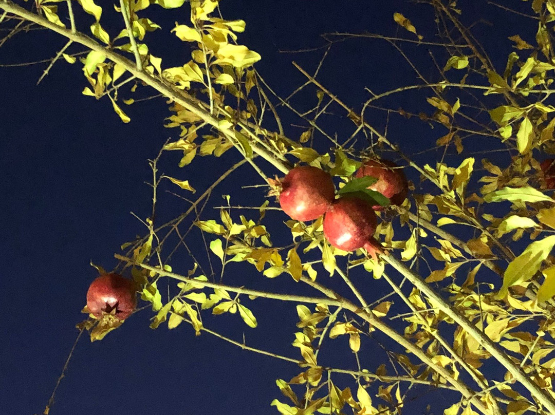 Saraye Ameriha Hotel主图