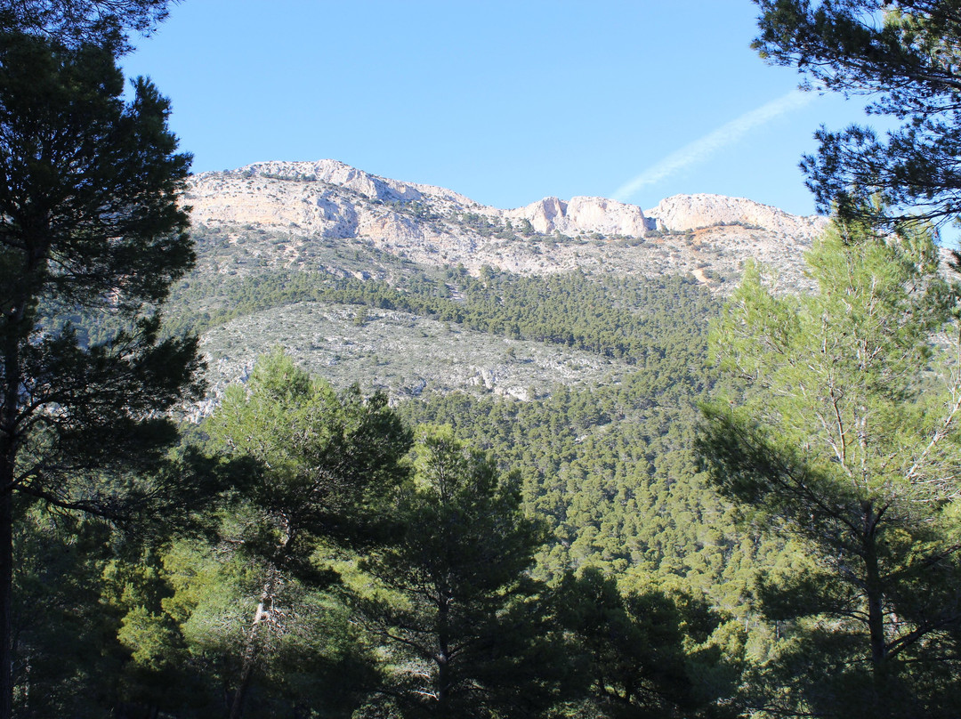 Sierra Espuna Regional Park-Alhama de Murcia必去景点