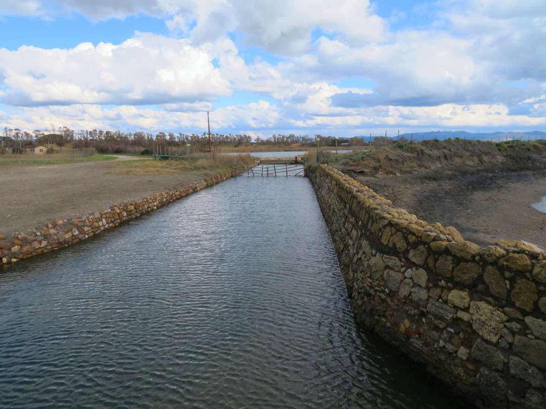 Saline di Tarquinia-塔尔奎尼亚必去景点