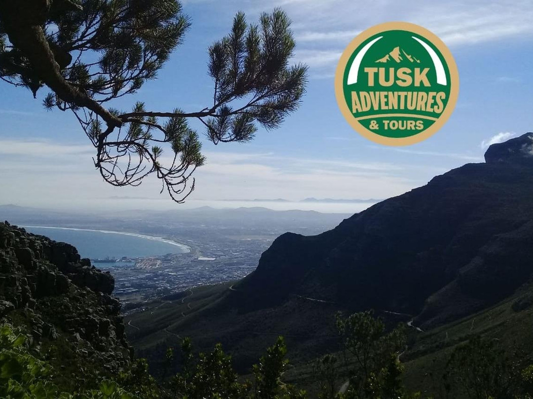 Tusk Adventures & Tours-开普敦中心区必去景点