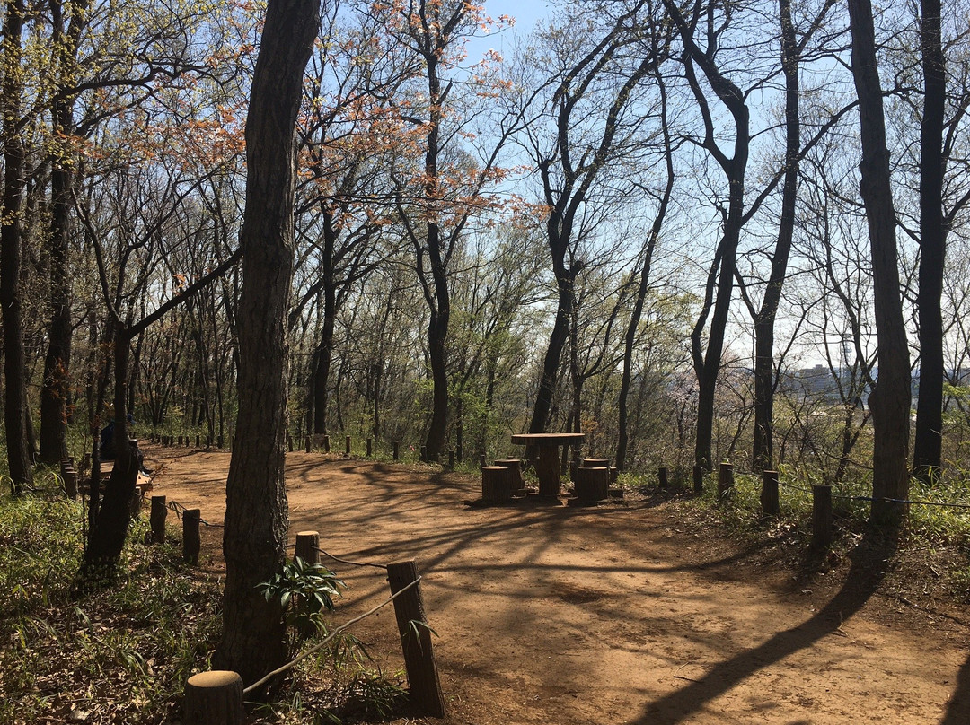 Sengenyama Park-府中市必去景点