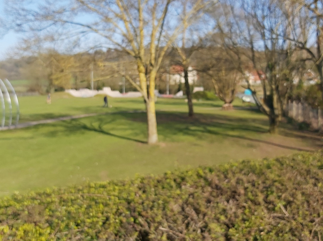 Jurassic Adventure Play Park