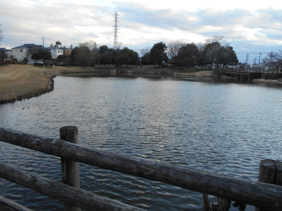 Saijonuma Park-莲田市必去景点