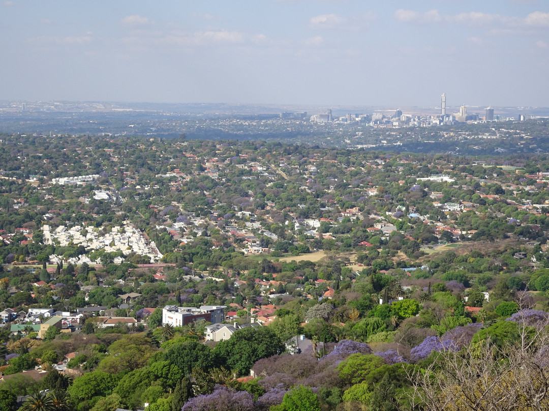 Northcliff Ridge Ecopark景点图片