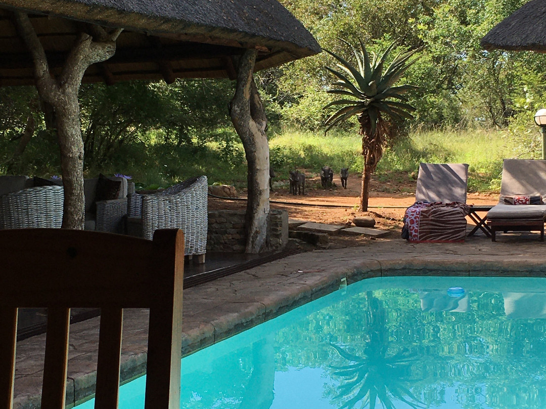 皇家克鲁格旅舍主图