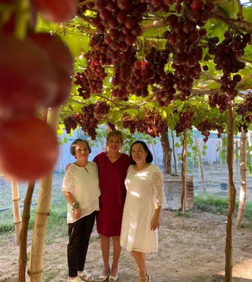 Climasenrose Grape Farm-San Fernando La Union必去景点