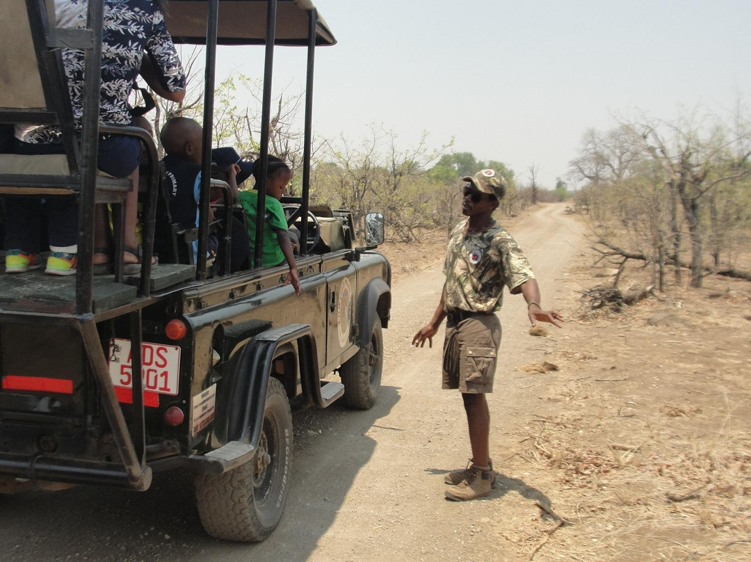 Lowveld Wanderer景点图片