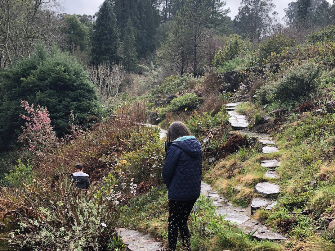 Regional Parks Botanic Garden-伯克利必去景点