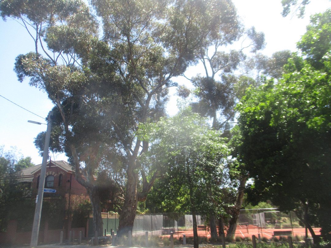 Boroondara Park-Canterbury必去景点