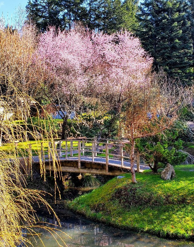 Japanese Garden-Mayne Island必去景点
