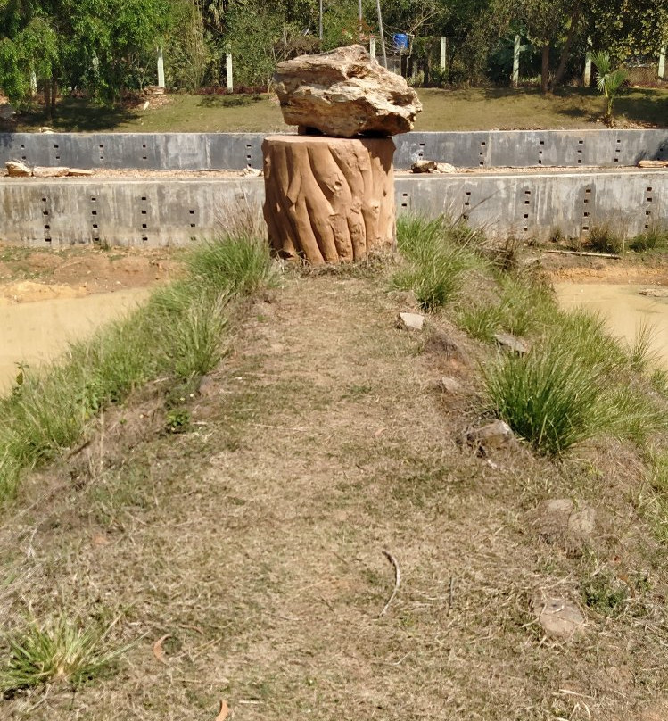 Amkhoi Fossil Wood Park景点图片