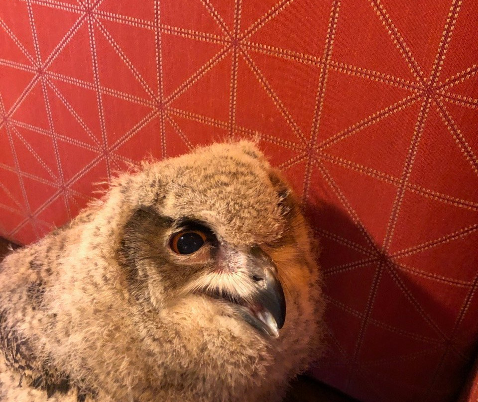 Hampton Inn & Suites Lake Placid主图