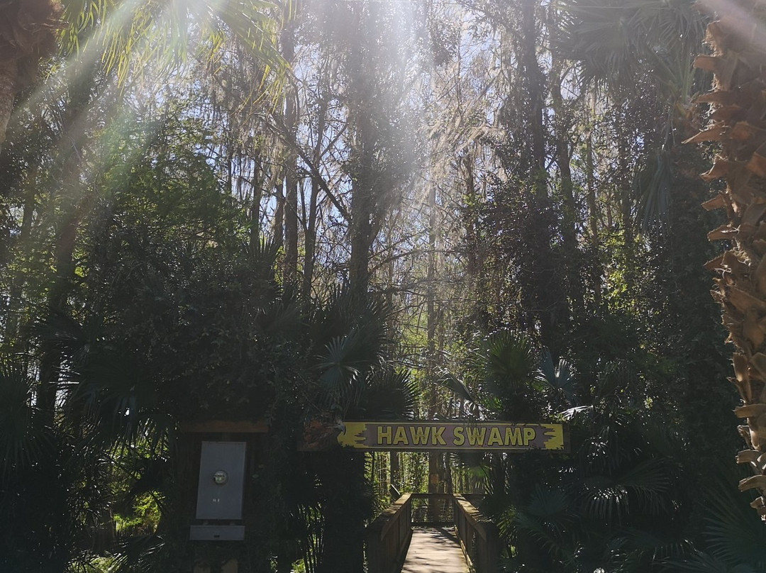 Wild Florida Airboats & Gator Park-Kenansville必去景点