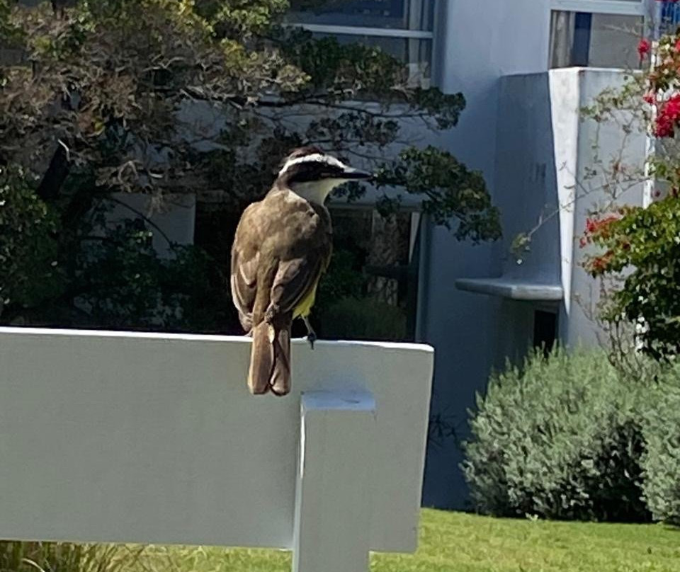 卡拉精品酒店主图