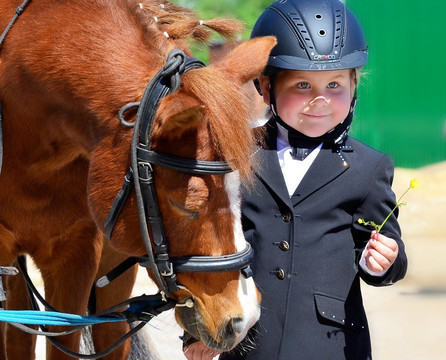 Kronshtadt Equestrian Club-喀琅施塔得必去景点