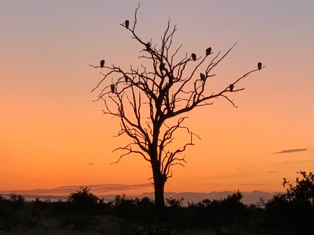 South African National Parks-白河必去景点