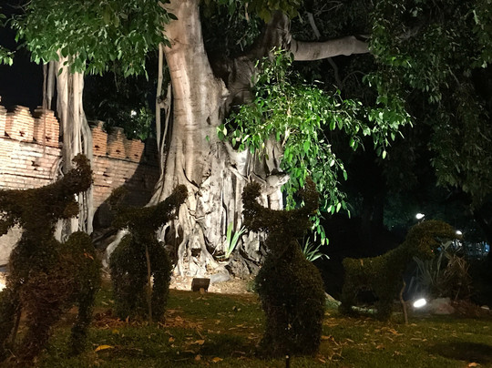 Chiang Mai Gate-清迈必去景点