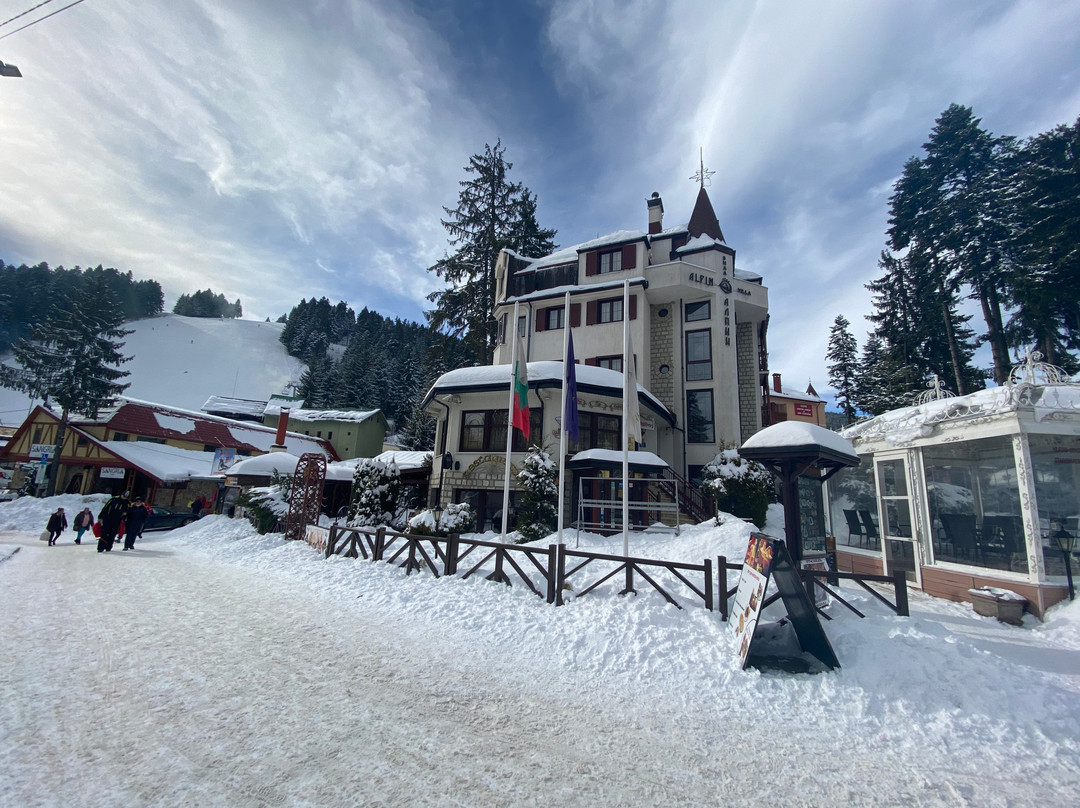 阿尔卑斯酒店主图