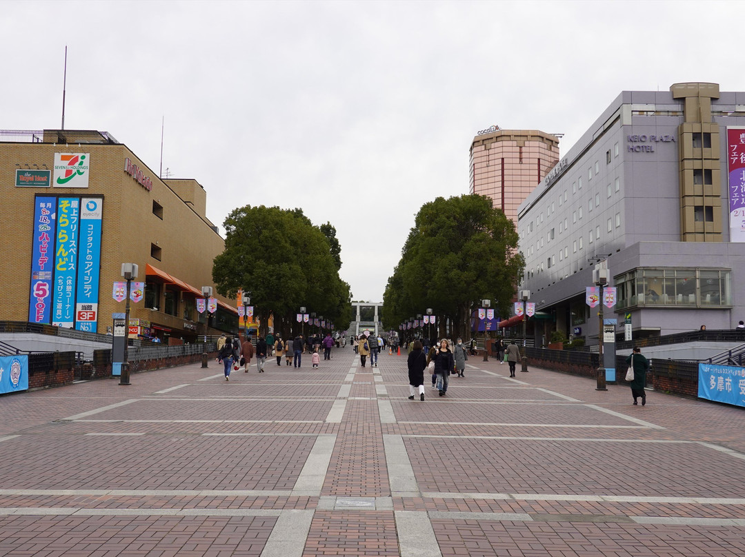 Parthenon Main Street-多摩市必去景点