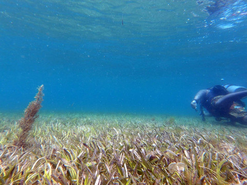 SK Divers Center-拉普拉普必去景点