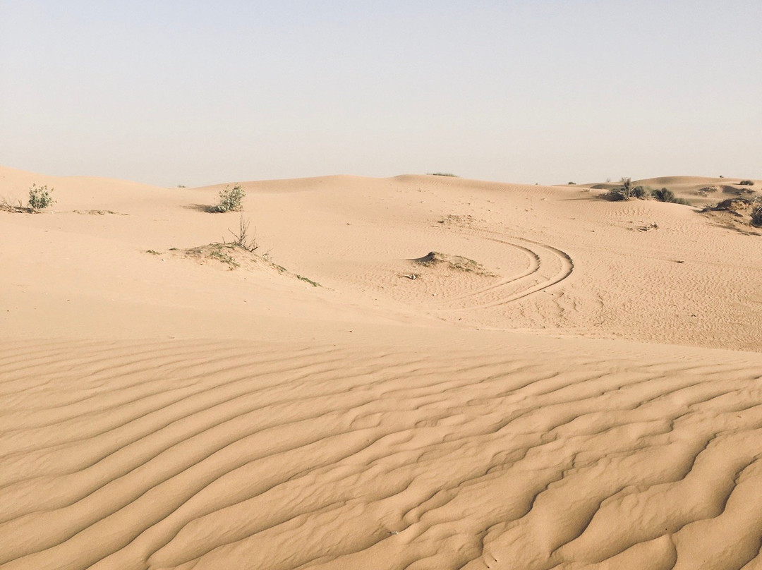 Iconic Tourism LLC-迪拜必去景点