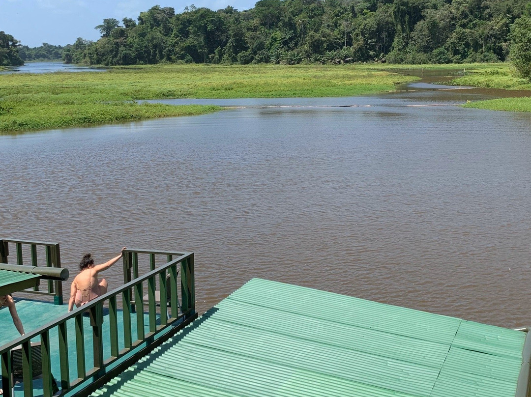 Jungle Land Panama Floating Lo主图