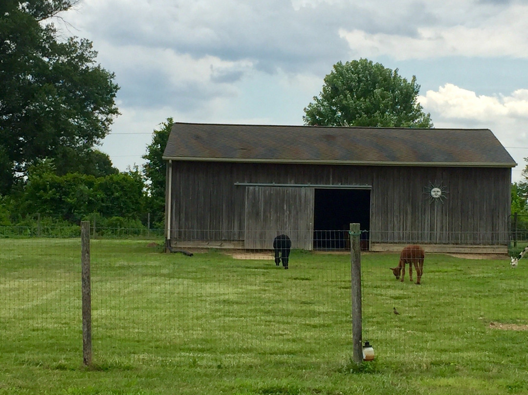 Stormwind Alpacas-Columbus必去景点