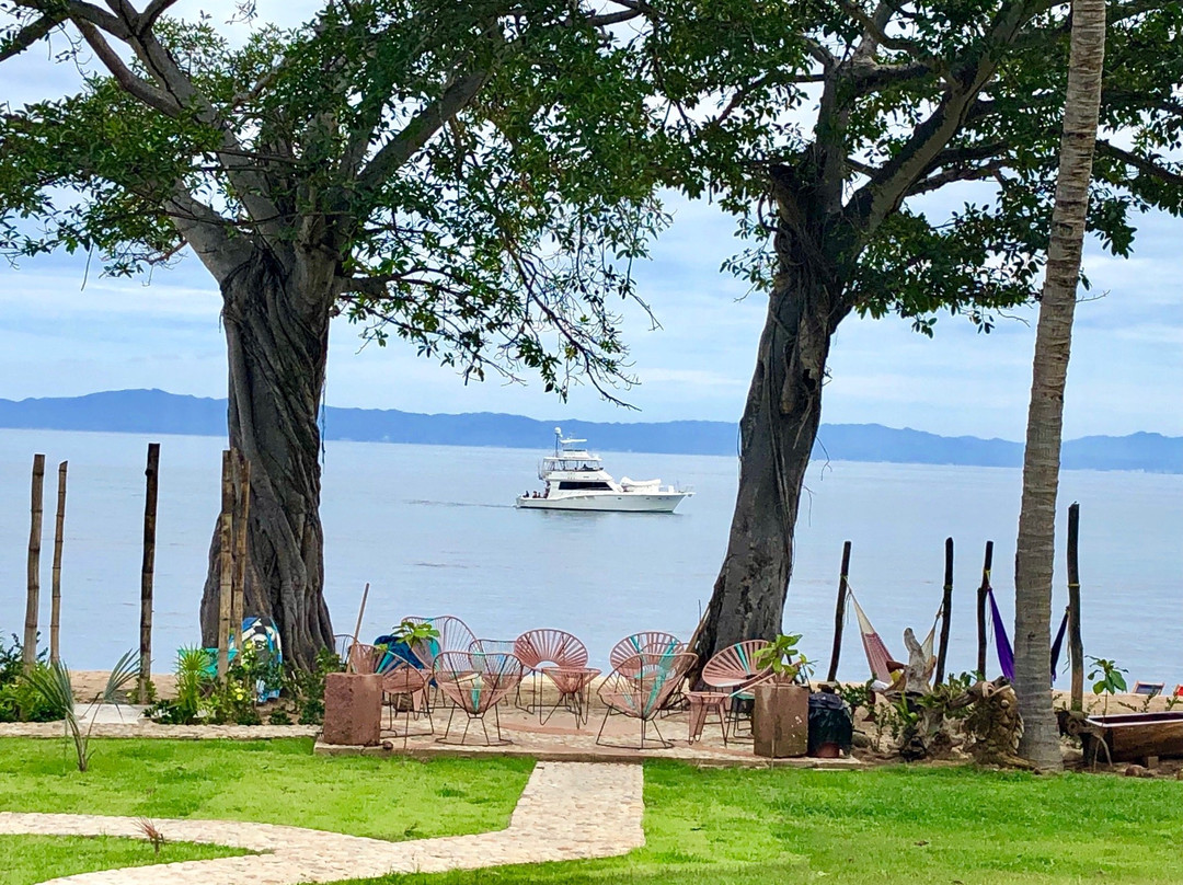 El Grullo Naturista主图