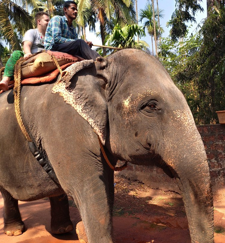 Sahyadri Spice Farm-巴德士必去景点