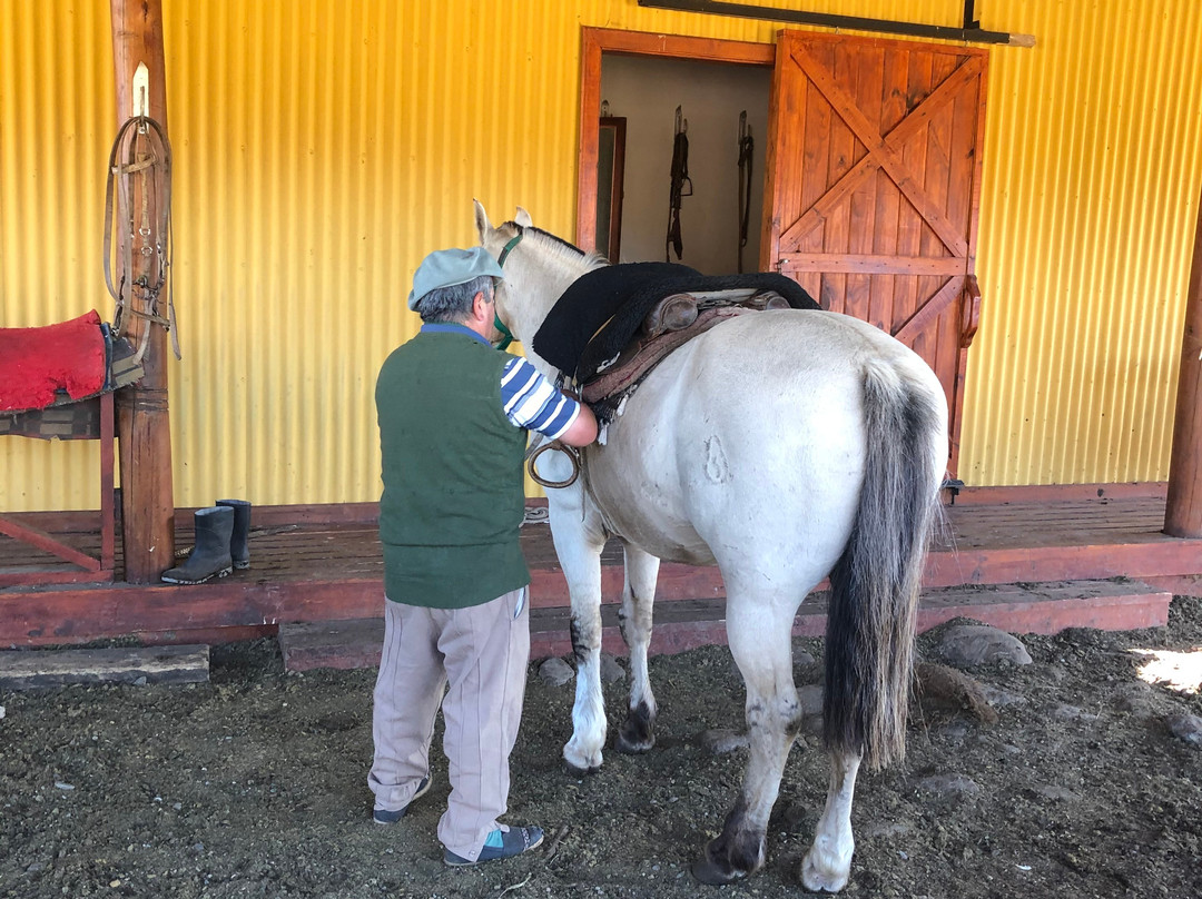 La Usina-埃尔卡拉法特必去景点