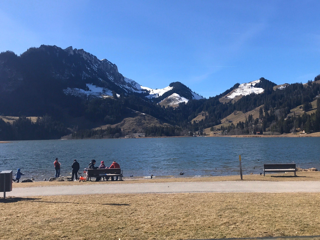 Schwarzsee Lac Noir景点图片