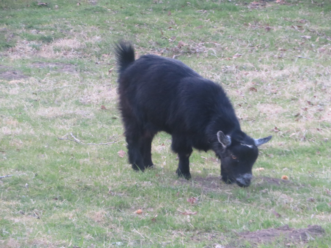 Borges Ranch-核桃溪必去景点