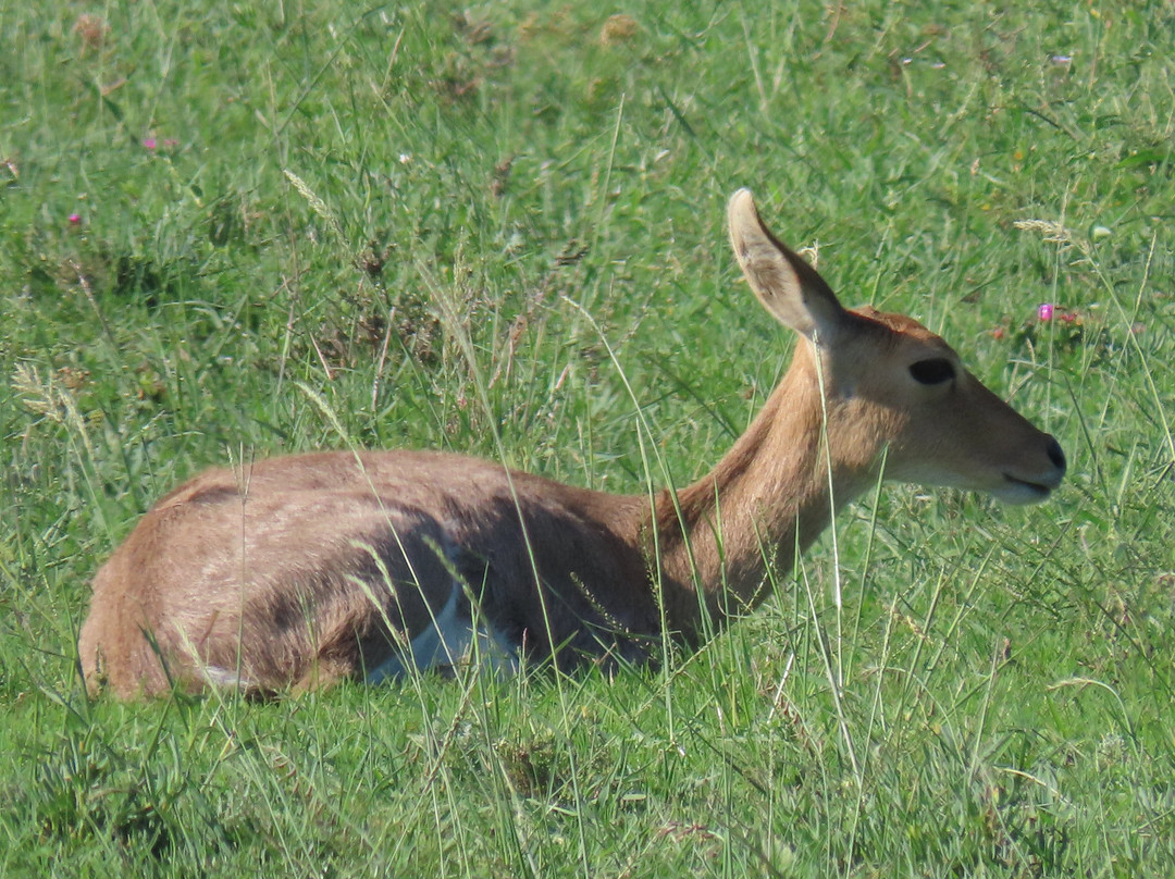 艾利斯代尔旅游攻略图片