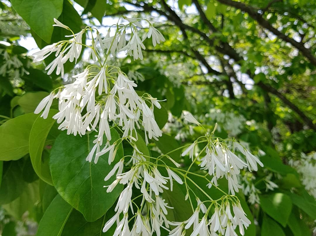Wiyangji-密阳市必去景点